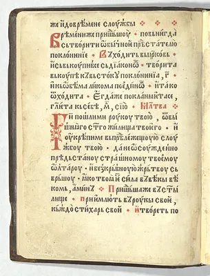 p. 4