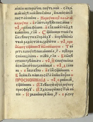 p. 7