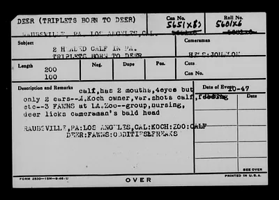 p. 46