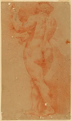 Counterproof Study of a Nude Woman