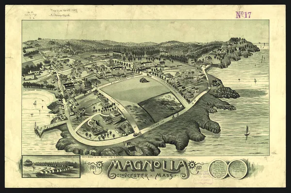 Magnolia, Gloucester, Mass