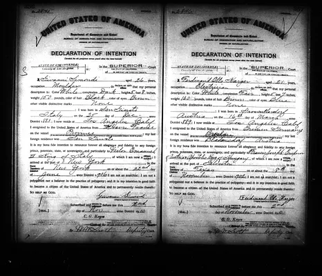 Page 516