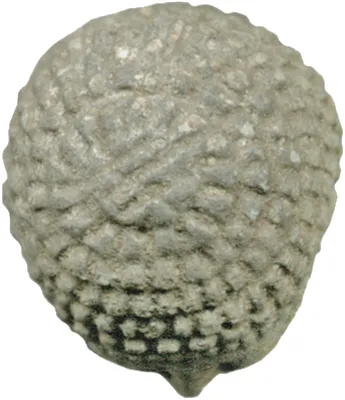 p. 5