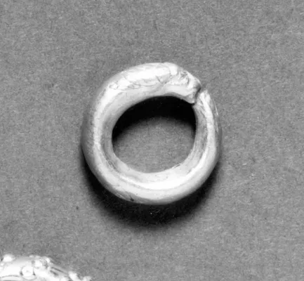 Hoop Earring