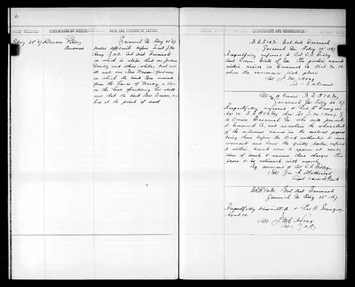 p. 11