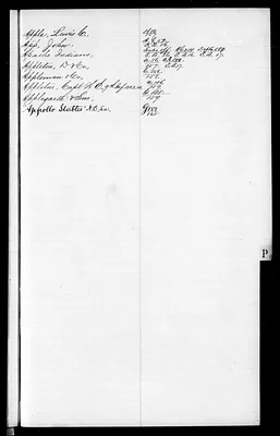 p. 20