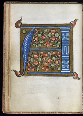 Leaf from Alphabet Book