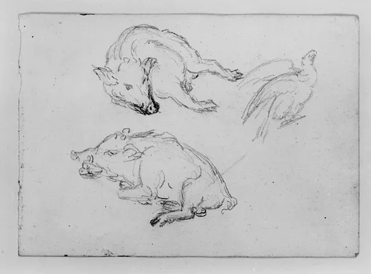 Sketch of Wild Boar and an Eagle