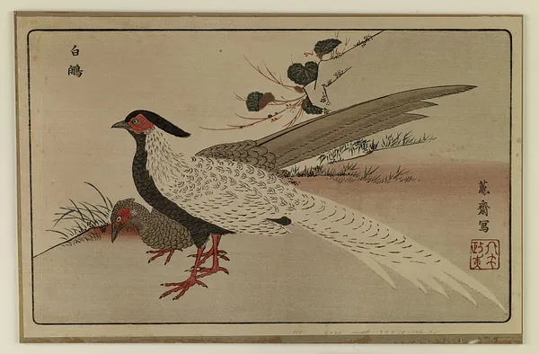 Reproduction: Pair of White Pheasants