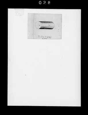p. 31