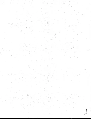 p. 41