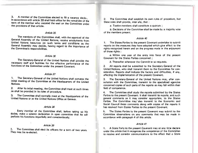 p. 41
