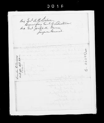 p. 19