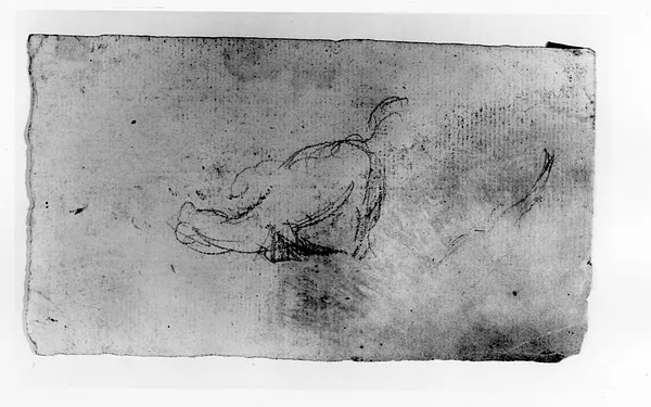 Sketch of a Horse (?) Rolling