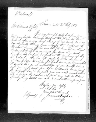 p. 7