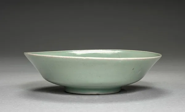 Dish
