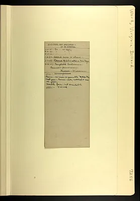 p. 7
