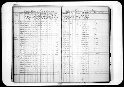 p. 31
