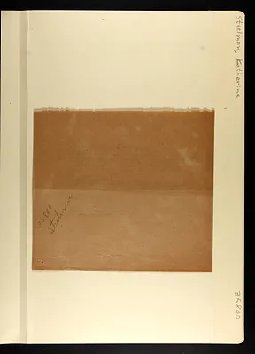 p. 45