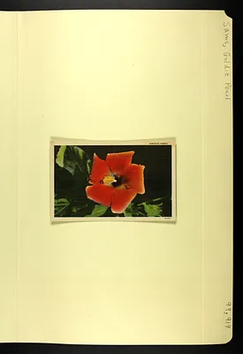 p. 36