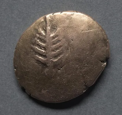 Catti Stater: Horse and Wheel (reverse)