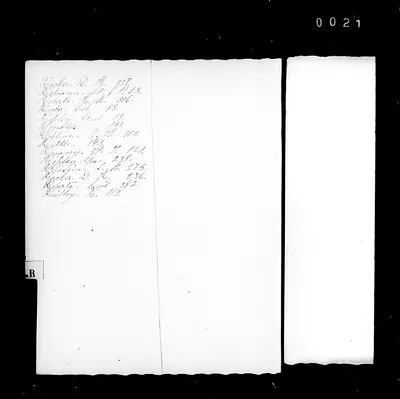 p. 43