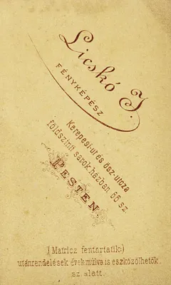 35290