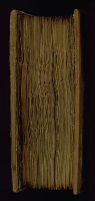 p. 5