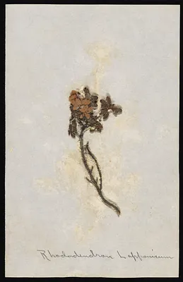 p. 10