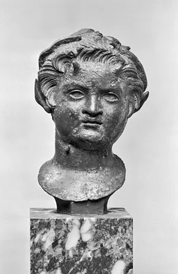Head of a Young Satyr