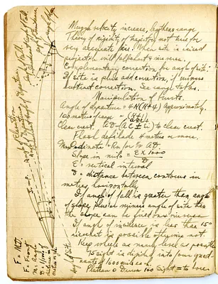 p. 7