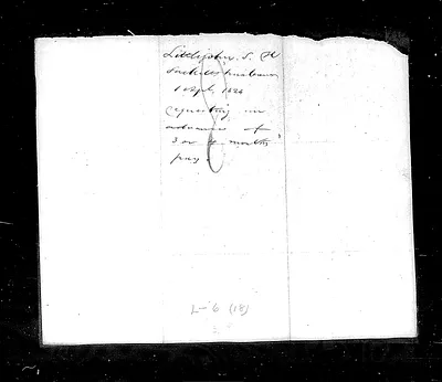p. 5