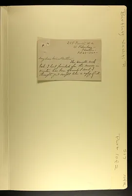p. 8