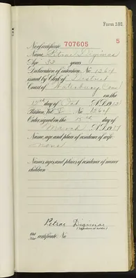 p. 11