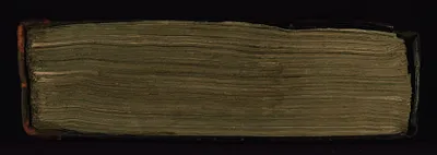 p. 7