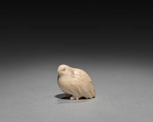 Quail