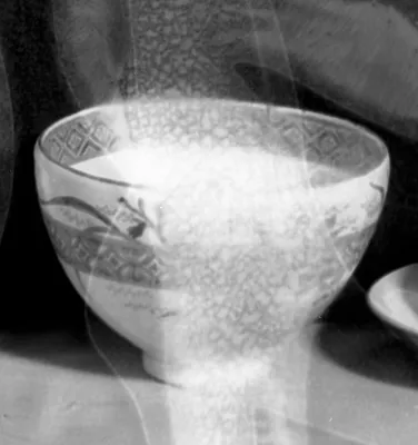 Satsuma Ware Tea bowl (chawan) with roses and orchids