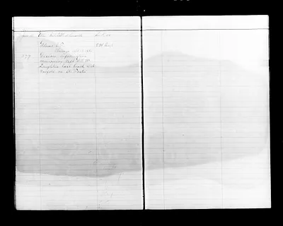 p. 43