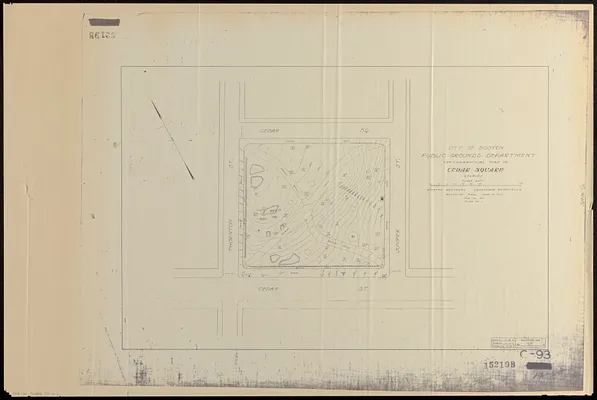 Topographical map of Cedar Square, Roxbury