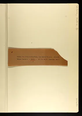 p. 23