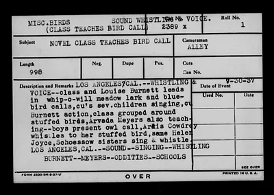 p. 31
