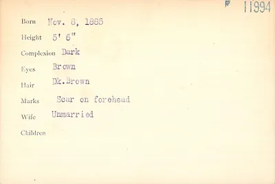 p. 43