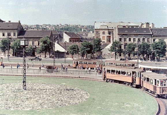 Trams at Széll Kálmán tér, Budapest