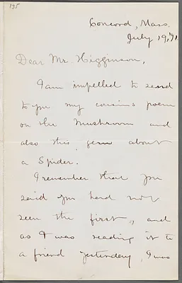 Frances Lavinia Norcross, Concord, Mass., autograph letter signed to Thomas Wentworth Higginson, 19 July 1891
