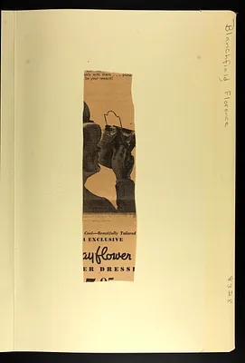 p. 41