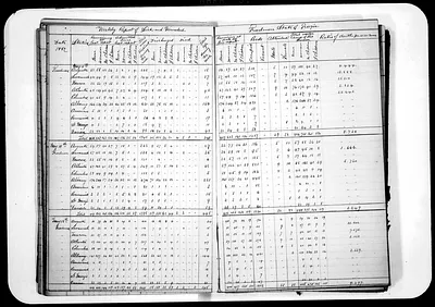 p. 35