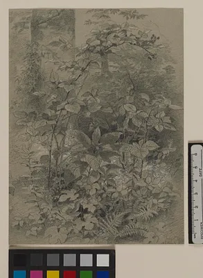 p. 2
