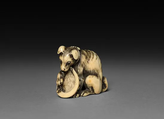 Dog with Shell