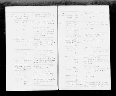 p. 31