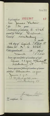 p. 19